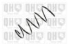 QUINTON HAZELL QCS5996 Coil Spring